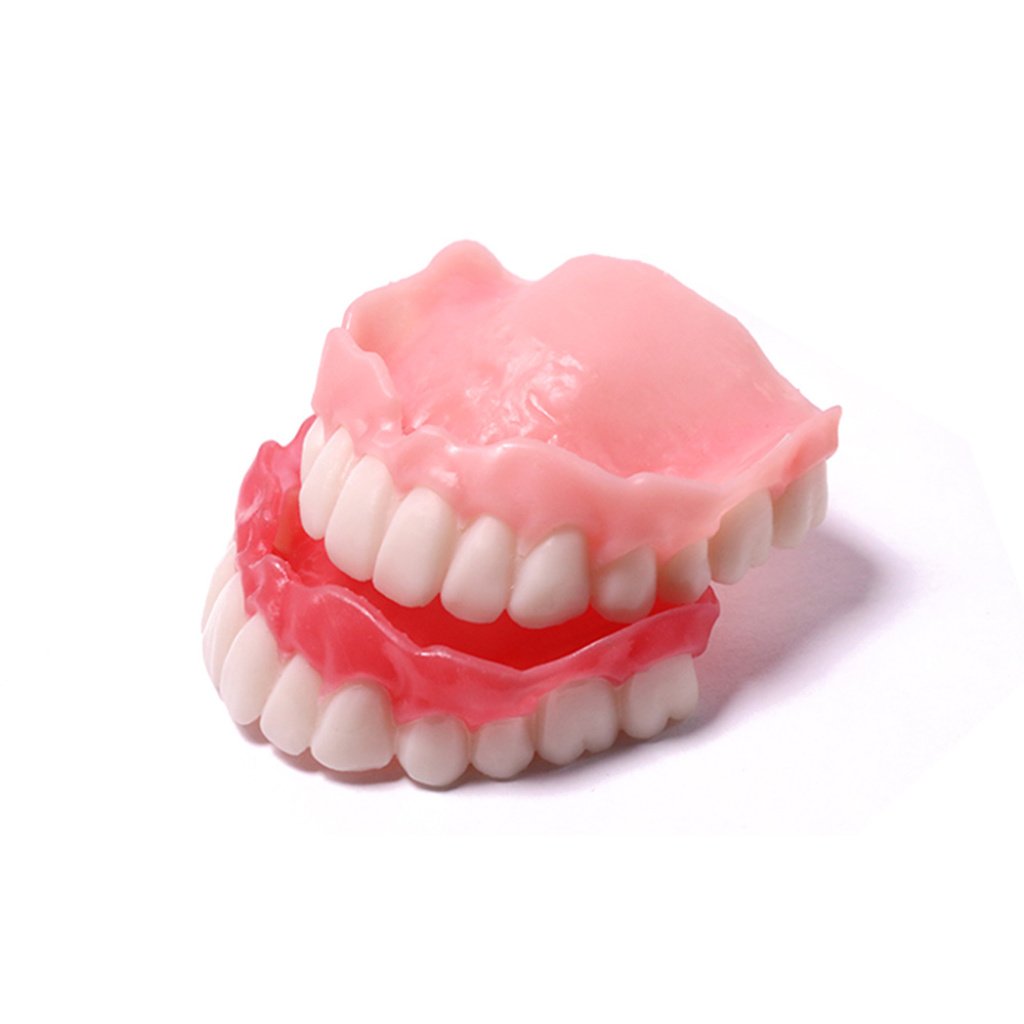 IFUN Denture Base Resin ( IF3166 ) 0.5KG - Lancer3D-3D Printer Egypt Store